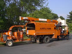 Asplundh Tree Experts