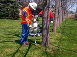TGRs are a useful tool to limit the conflict between trees and overhead power lines