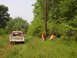 An Osmose crew inspects a pole