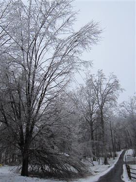 winter storm dion 2013