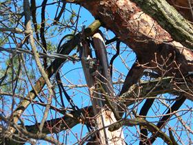 2013 winter storm saturn
