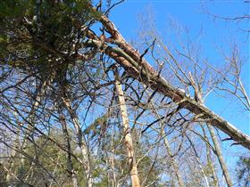 2013 winter storm saturn