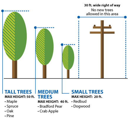 Landscaping Standards - Tree Planting