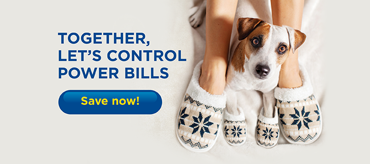 Control Bills - Dog