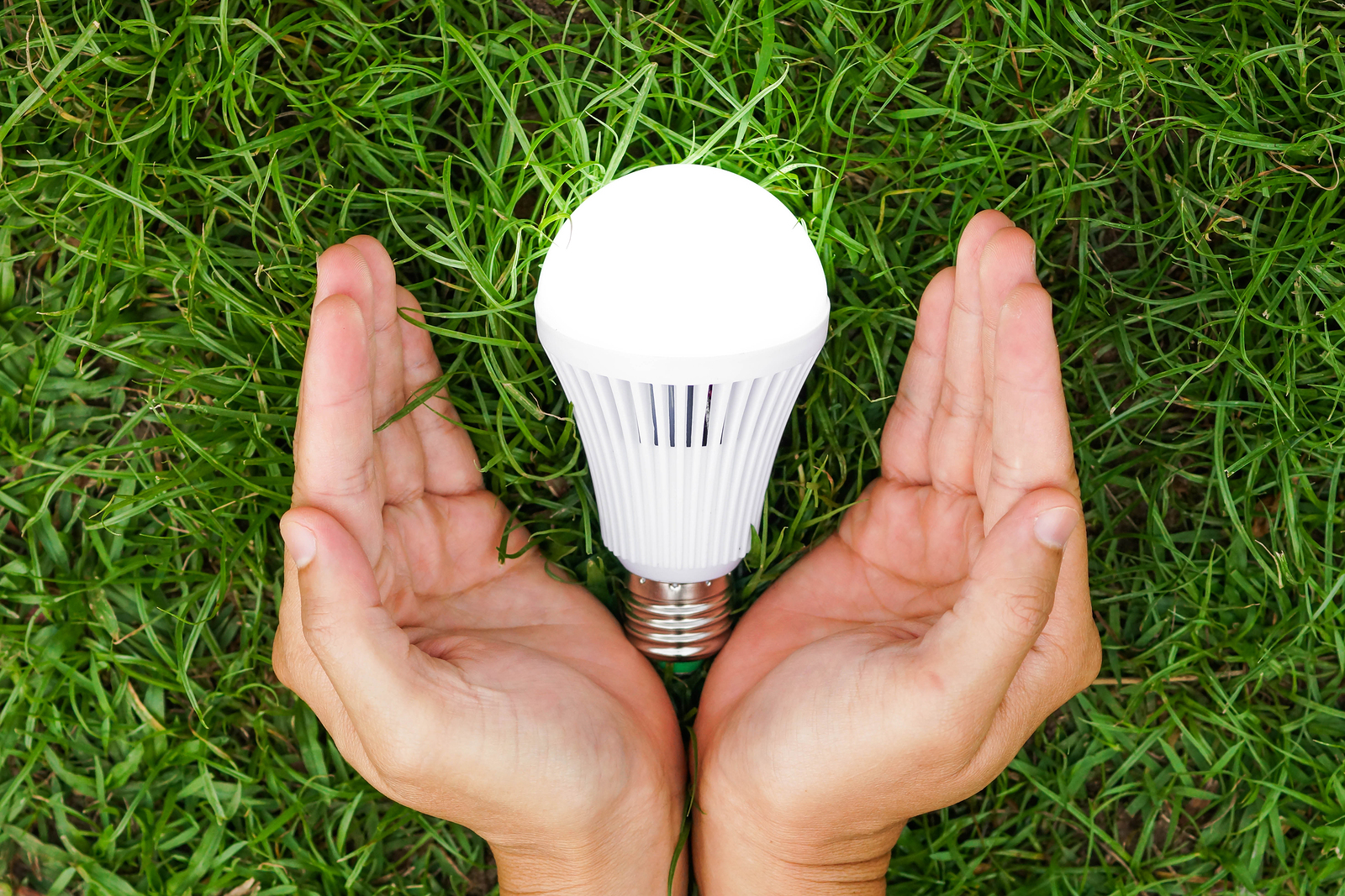 compensar bordillo Edredón Energy-Efficient Lighting
