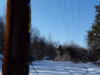 NOVEC line felled by snow-laden tree awaits repair crew.
