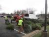 NOVEC turns Christmas greens into wood-chip mulch for Co-op members.