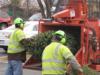 NOVEC turns Christmas greens into wood-chip mulch for Co-op members.