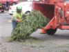 NOVEC turns Christmas greens into wood-chip mulch for Co-op members.