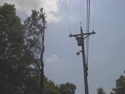 Trees trimmed along the sides of electrical lines are called sidewalls