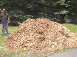 A typical dumped load of wood chip mulch is 8-10 cubic yards